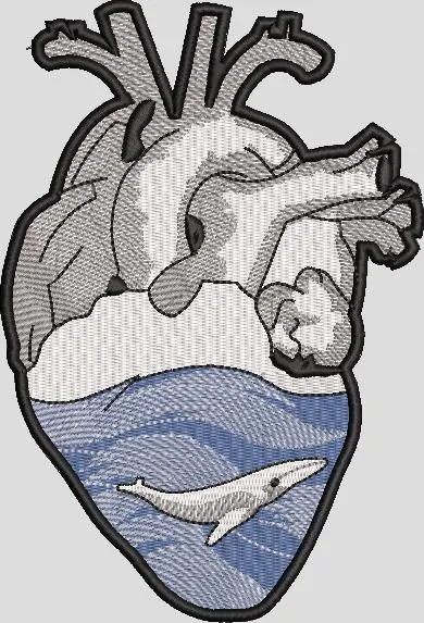 Alternative view of  Anatomical Heart with Ocean and Whale 